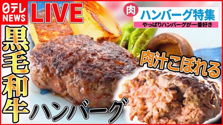 【ハンバーグLIVE】昭和生まれステーキハウスの肉汁ハンバーグ/“ソウルフード”メキシカンハンバーグ/美味理論の「ハンバーグ」 など（日テレNEWS）