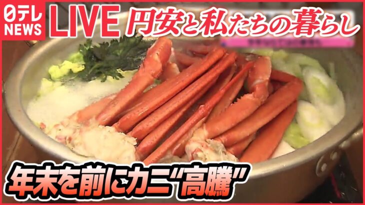 【円安LIVE】年末を前にカニが“高騰”/「乳製品」11月から値上げ/政府が冬の「節電」呼びかけ/総額39兆円「総合経済対策」生活しやすくなる？　など（日テレNEWS）