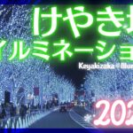 【LIVE】“けやき坂イルミネーション”2022 をライブカメラでお届け！　Keyakizaka Illumination 2022　ANN/テレ朝