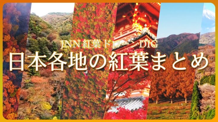 【紅葉 LIVE】ドローン×紅葉の名所！秋にしか見られない日本の絶景　 Flying Over Japan by drone Autumn leaves| TBS NEWS DIG