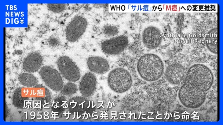 「サル痘」名称を「M痘」に変更　WHO発表｜TBS NEWS DIG