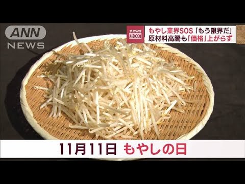 【悲鳴】もやし業界SOS「もう限界だ」…廃業も　原材料高騰も“価格”上がらず(2022年11月11日)