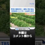 野菜の価格安定へ　植物工場が進化【SUNトピ】 | TBS NEWS DIG #shorts