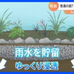 自宅でも簡単！水害対策に“雨庭”【SUNトピ】｜TBS NEWS DIG