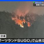 宮城 花火大会で山林から出火 大会は中止に｜TBS NEWS DIG