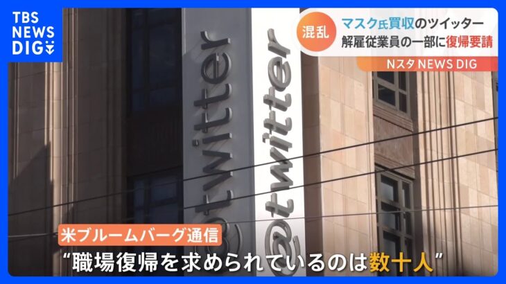 Twitter社が大量解雇の後、従業員の一部に復帰要請　米Bloombergが報道｜TBS NEWS DIG