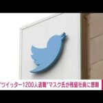 Twitter想定外の退職者数　慌てた？マスク氏、残留社員に懇願(2022年11月19日)