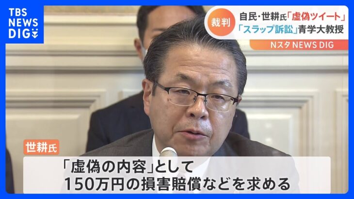 世耕弘成議員vs青学教授 旧統一教会関連ツイッター投稿巡り名誉毀損裁判　世耕氏「政治家としての名誉傷つけられた」証言｜TBS NEWS DIG