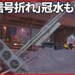 【災害級大雪】“南国”高知県で「観測史上1位」積雪　愛媛県では停電も