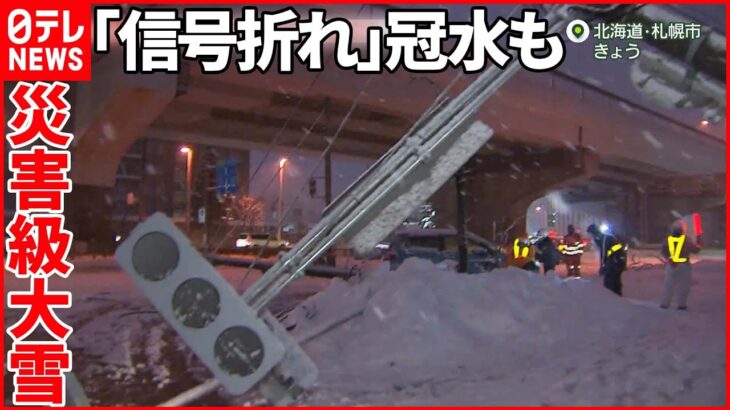 【災害級大雪】“南国”高知県で「観測史上1位」積雪　愛媛県では停電も
