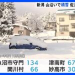 新潟は山沿い中心に降雪　佐渡市では最長1週間以上の停電続き本日中の復旧目指す｜TBS NEWS DIG