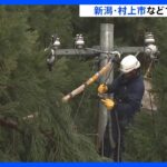 約1100戸で停電の新潟・村上市　復旧作業続く　きょう中に復旧へ｜TBS NEWS DIG