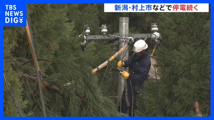 約1100戸で停電の新潟・村上市　復旧作業続く　きょう中に復旧へ｜TBS NEWS DIG