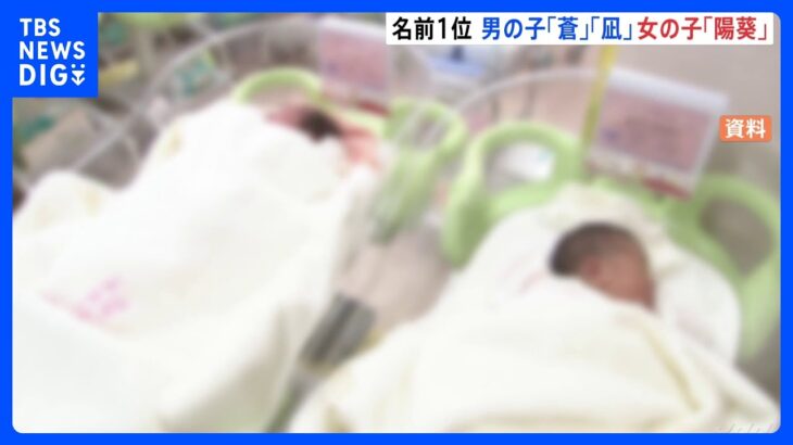 1位は「蒼くん」「凪くん」と「陽葵ちゃん」2022年生まれ子どもの名前ランキング　平和なイメージが人気　“ジェンダーレス”意識も｜TBS NEWS DIG