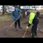 天橋立で迎春準備の「一斉清掃」　約1500人が参加して松の葉など集める　京都・宮津市（2022年12月11日）