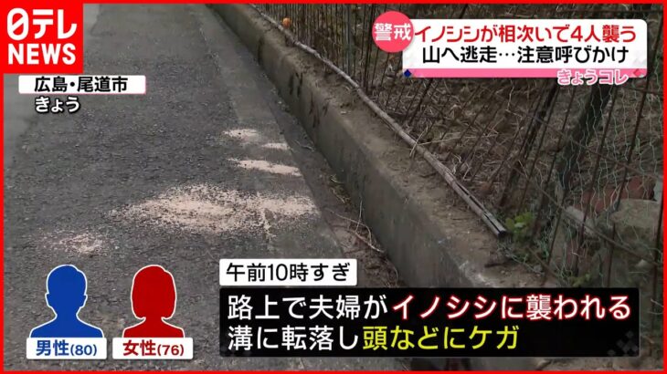 【わずか15分】イノシシが相次いで4人襲う 山へ逃走 注意呼びかけ