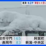 新潟・魚沼市で1メートル65センチの積雪　東北や北陸で大雪　交通障害に警戒を｜TBS NEWS DIG