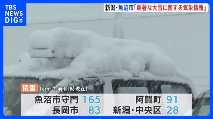 新潟・魚沼市で1メートル65センチの積雪　東北や北陸で大雪　交通障害に警戒を｜TBS NEWS DIG