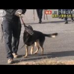 【独自】香川 17年前に5歳女児行方不明　警視庁の警察犬投入し再捜索(2022年12月20日)