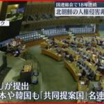 【国連総会】北朝鮮の人権侵害非難決議 18年連続で採択