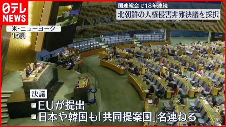 【国連総会】北朝鮮の人権侵害非難決議 18年連続で採択