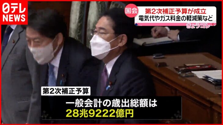 【国会】第2次補正予算が成立 電気代やガス料金の軽減策など