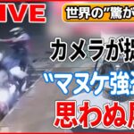 【世界の驚愕映像ライブ】“間抜けな”2人組…思わぬ展開に / 運転中に前方から転がって来るのは？―World Heart Stopping Moments (日テレNEWS LIVE)