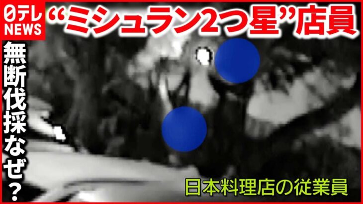 【モミジ無断伐採】京都・建仁寺で “ミシュラン2つ星”日本料理店が謝罪