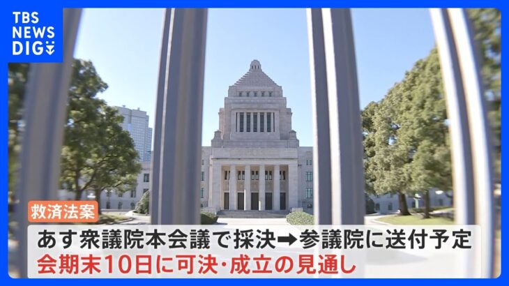 「被害者の声を国に届ける難しさを痛感」宗教2世　旧統一教会などの被害者救済法案　成立へ｜TBS NEWS DIG