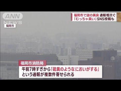 「むっちゃ臭い」福岡市で謎の異臭…20倍超える数値観測　健康影響は(2022年12月21日)