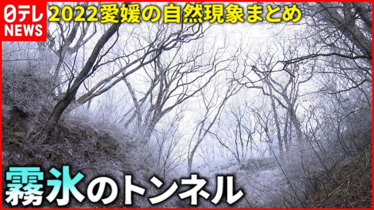 【2022の気象】短い梅雨＆台風＆紅葉 愛媛の自然現象まとめ　NNNセレクション
