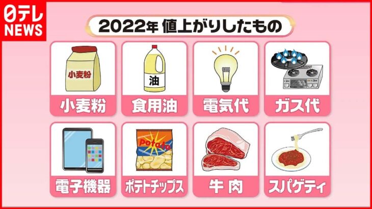 【振り返り】円安と物価高に泣いた2022年―「賃上げ伴う物価上昇」はどうなる？