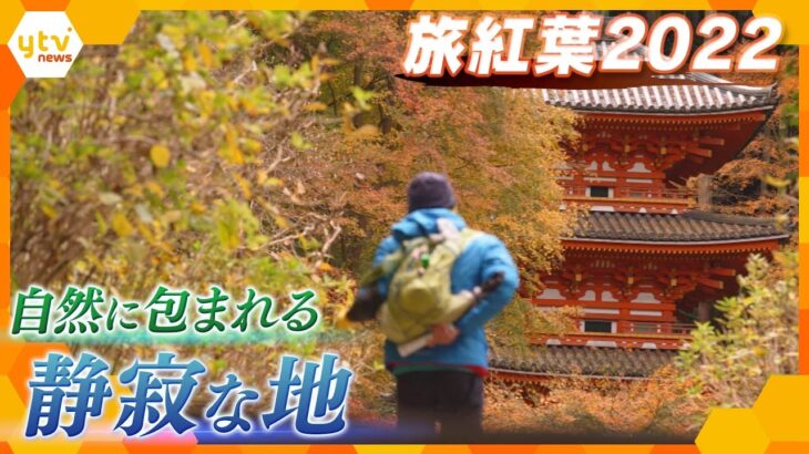 【旅紅葉2022】木々に囲まれた心安らぐ静寂の地 ～京都府・岩船寺～