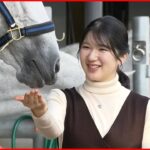 【愛子さま21歳に】動物好きで乗馬に親しまれ…きゅう舎で馬にえさも 宮内庁が映像公開