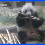 上野動物園のパンダ「シャンシャン」 来年2月21日に中国返還決定｜TBS NEWS DIG