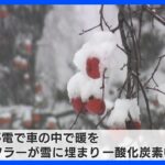 記録的な大雪…停電のため車内で暖、27歳女性が死亡　一酸化炭素中毒か　新潟・柏崎市｜TBS NEWS DIG