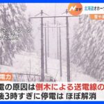 北海道オホーツク地方の大規模停電　午後3時すぎにほぼ解消　気象台は引き続き吹雪などに注意を呼びかけ｜TBS NEWS DIG