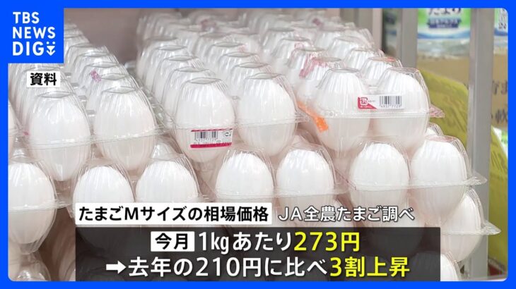 卵去年より3割高も…「年明けには 鶏卵価格は低下の見込み」　野村農水大臣｜TBS NEWS DIG