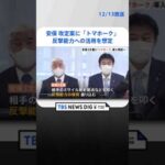 安保3文書改定案に「トマホーク」導入明記へ　反撃能力への活用を想定 | TBS NEWS DIG #shorts