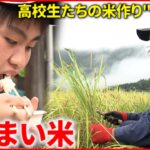 【米作り】高校生たちの”実り”初収穫！棚田復活への取り組み　愛媛　NNNセレクション