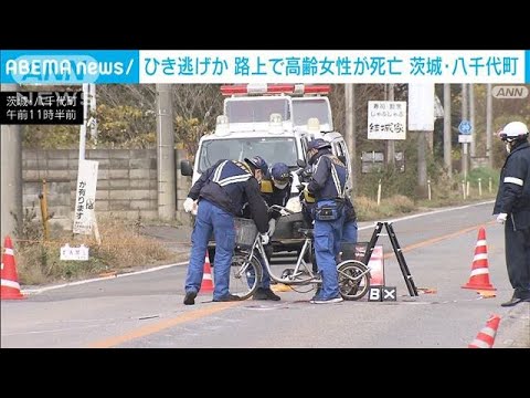 路上で高齢女性が死亡　ひき逃げか　茨城・八千代町(2022年12月3日)