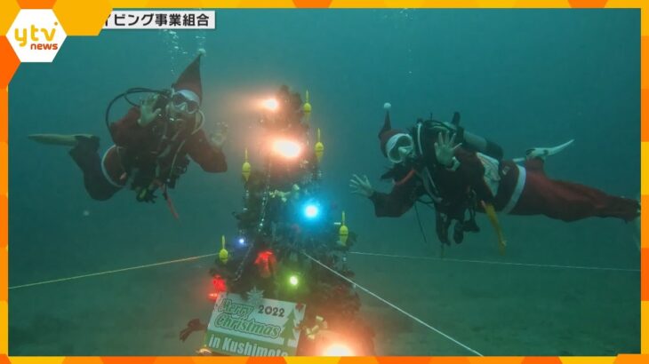 【海中クリスマスツリー】和歌山・串本町沖の海底に設置　訪れたダイバーたちを楽しませる　２５日まで