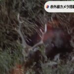 ドローン使った「狩猟」赤外線カメラで動物探しやすく…猟友会メンバー高齢化など背景（2022年12月6日）