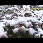 関東や北日本を中心に厳しい寒さ　宇都宮で初雪も(2022年12月6日)