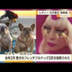 レディー・ガガさんの愛犬と知らず…“強奪男”に禁錮21年(2022年12月7日)