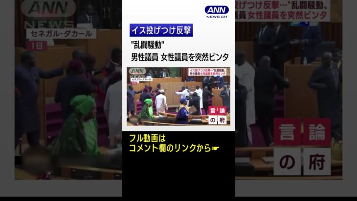 【セネガルの国会】男性議員が女性議員を突然ビンタ…椅子で応戦　議場は騒然 #Shorts