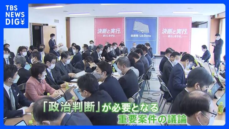 私たちが払う税金はどう変わるのか？来年度の税制改正へ向けた議論が大詰めに。防衛費をめぐる増税は？生活への影響は？｜TBS NEWS DIG