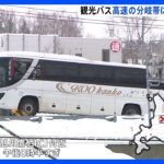 道央自動車道で観光バスが「分岐帯」に衝突　乗客18人けが　北海道鷹栖町｜TBS NEWS DIG