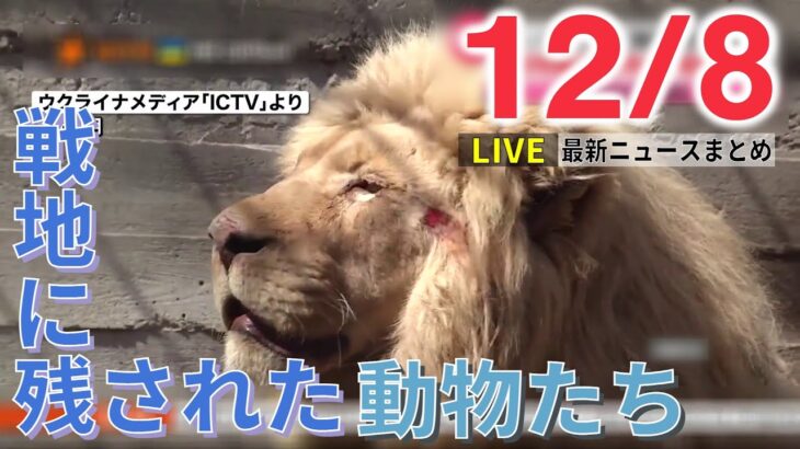 【ニュースライブ】 ウクライナの動物保護 / 育休「アイスランド」大統領 インタビュー / 「Live119」映像通報で応急救護 人命救助の4人に感謝状　など―― 最新ニュースまとめ（日テレNEWS）