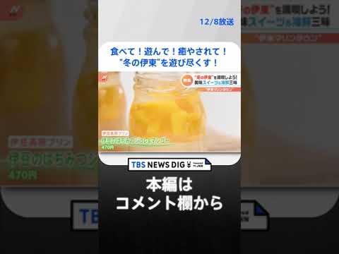 食べて！遊んで！癒やされて！“冬の伊東”を遊び尽くす！ | TBS NEWS DIG #shorts